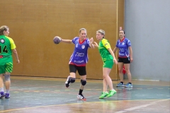 LOISIRFVSMONTGAILHARD15